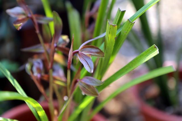 人老了没有钱，不能动，子女会烦吗