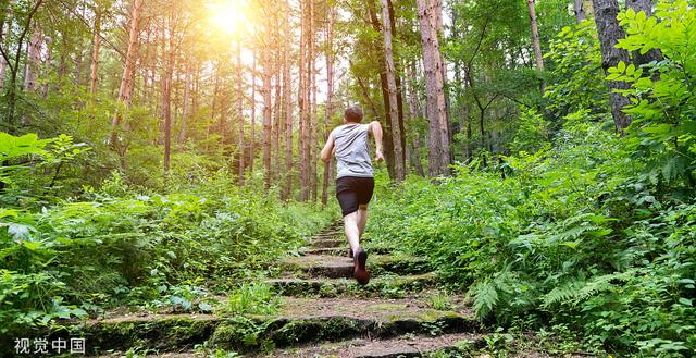 延期、取消、重启!没有比赛的日子,中国越野跑者有话要说