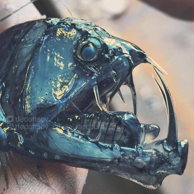 二月,谁先爱上他的