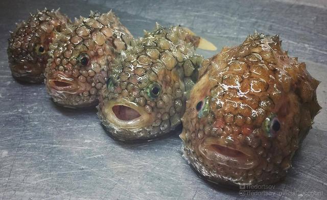 二月,谁先爱上他的