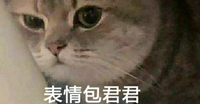 表情包：舌吻吗，妹妹？