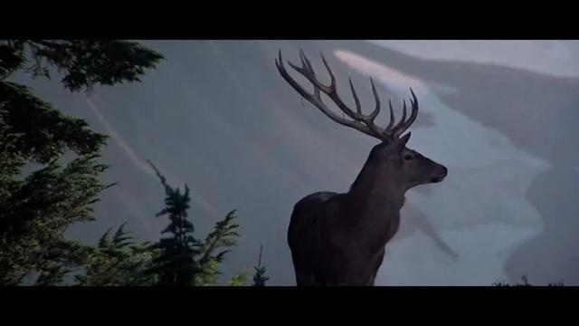 片长3个小时的战争片，我一口气看完，不舍得快进1秒钟