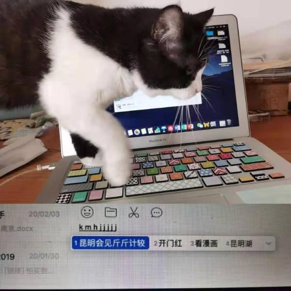 在家办公，全面翻车