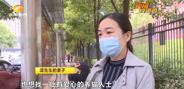 女租客突然离去,房东直呼恐怖:房内遗弃十余只猫,垃圾遍地、恶臭难闻……