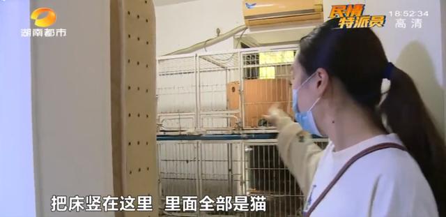 女租客突然离去,房东直呼恐怖:房内遗弃十余只猫,垃圾遍地、恶臭难闻……