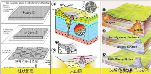 被断绝的通天神树，《山海经》的建木是太空电梯吗