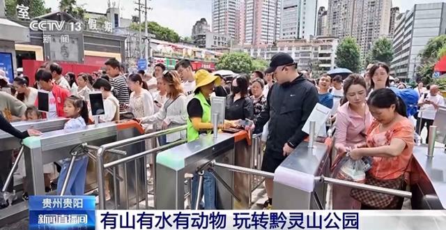 暑假去哪玩儿?“表演型”豚尾猴、休闲邮轮游等你来打卡