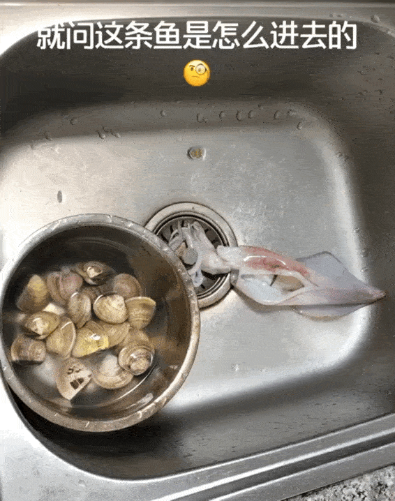 30张罕见图片：最美伴娘团，有纹身的最顶，你们觉得呢？