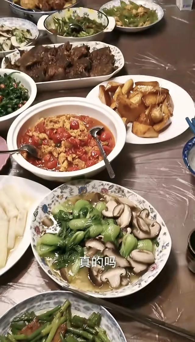 李菁菁现状:住北京宋庄别墅与父母一起生活,复出赚钱不再谈恋爱