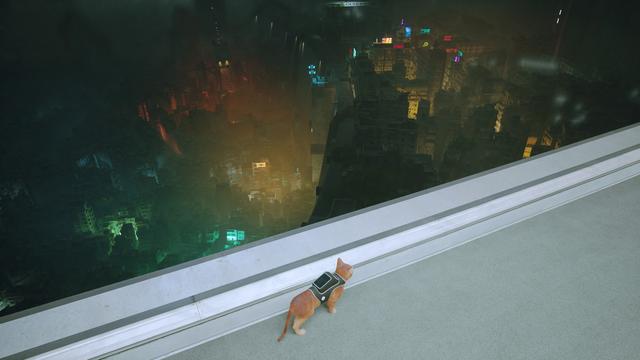 《Stray》评测：竟然有游戏如此明目张胆的收割猫奴！我无法拒绝