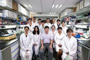 戴鹏飞(雄激素为何那么能干？科学家解析雄激素调控性别差异的分子细胞基础)