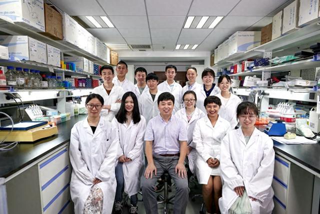 雄激素为何那么能干?科学家解析雄激素调控性别差异的分子细胞基础