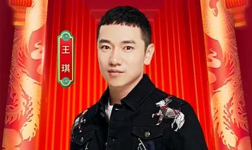 王琪经典歌曲全览深情旋律，触动心灵深处