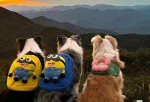 不再疲惫(人生苦短，学会放下：如何轻松生活不再疲惫)