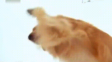 30张罕见图片：最美伴娘团，有纹身的最顶，你们觉得呢？