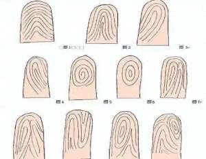 手十(解密：手指十个簸箕的奥秘)