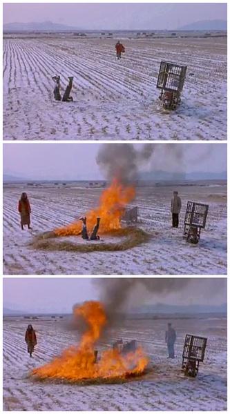 伦理大师金基德把这部电影的暴力渲染的残酷又煽情