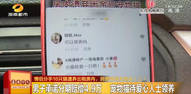 女租客突然离去,房东直呼恐怖:房内遗弃十余只猫,垃圾遍地、恶臭难闻……
