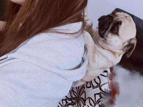 在家办公，全面翻车