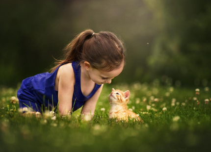 周易取名 龙宝宝改名测名