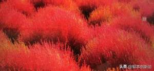 知行合一致良知(王阳明：致良知，才能知行合一)