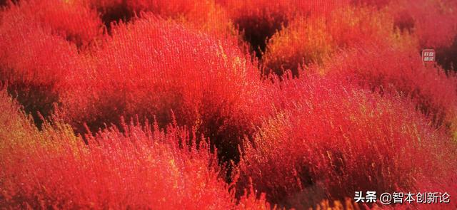 王阳明：致良知，才能知行合一