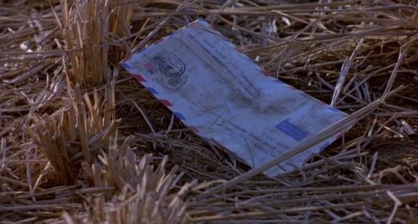 伦理大师金基德把这部电影的暴力渲染的残酷又煽情