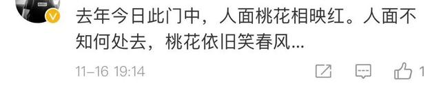 要搞大事？罗永浩微博求助，求介绍知名冰箱、瑜伽垫、母婴品牌，包括曾被他砸的西门子