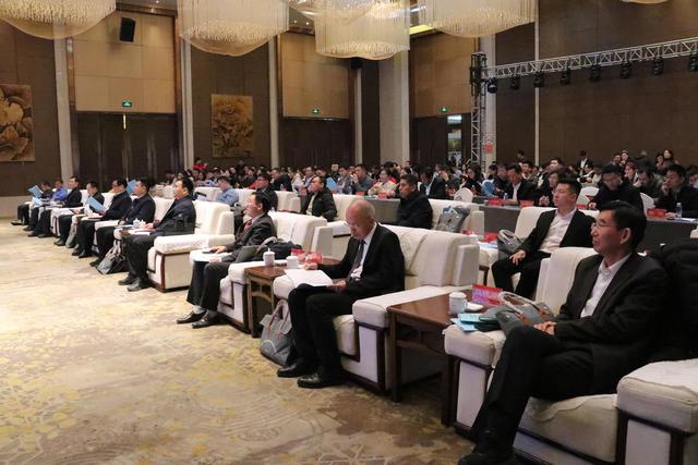 “菁英齐聚  智汇湖西”2025年单县籍百名博士新春座谈会召开