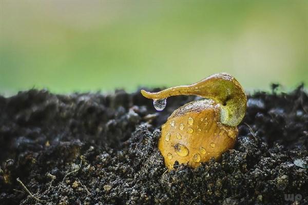 一个成功男人的背后，站着一个默默为你付出的女人