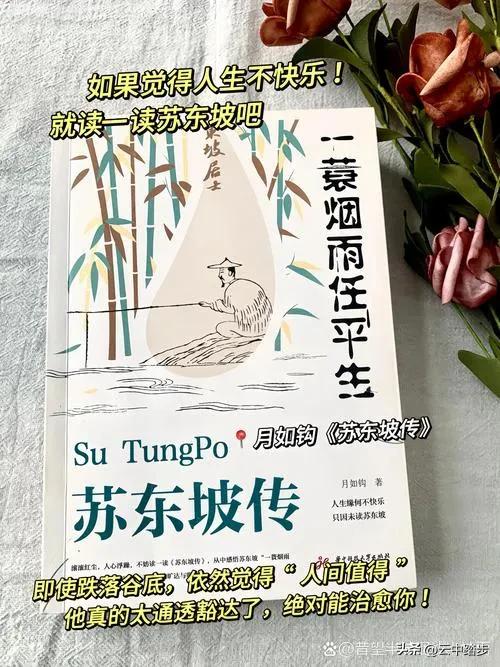 如何从苏轼与王朝云的相遇相知看宋朝的官妓制度