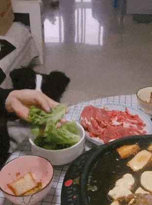 30张罕见图片：最美伴娘团，有纹身的最顶，你们觉得呢？