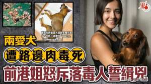谢嘉怡(TVB前港姐冠军2爱犬惨遭毒死，谢嘉怡怒斥落毒人誓缉凶)