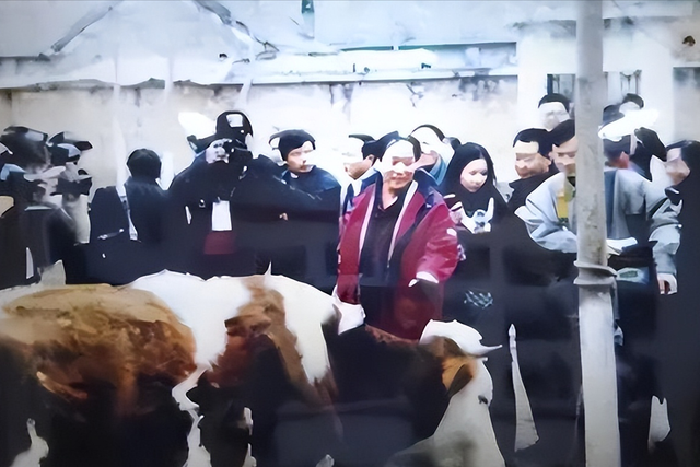 刘肃：她是牛群前妻，50岁提出离婚，不要家庭不要孩子活出自我