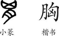 胸奴(「象形+方言」46 胸、匈、奴)