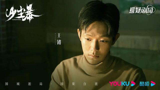 段奕宏、王锵、 张佳宁主演的悬疑刑侦剧《沙尘暴》剧情详解
