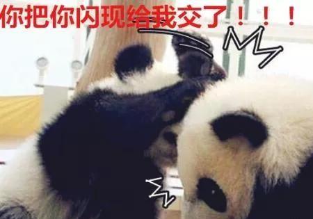 第一期--万梗起源狗粉丝