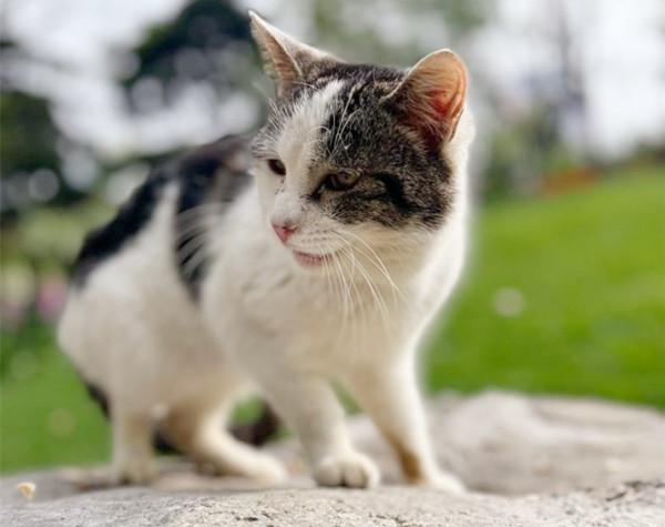 周慧：大名叫周小咪