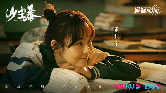 段奕宏、王锵、 张佳宁主演的悬疑刑侦剧《沙尘暴》剧情详解