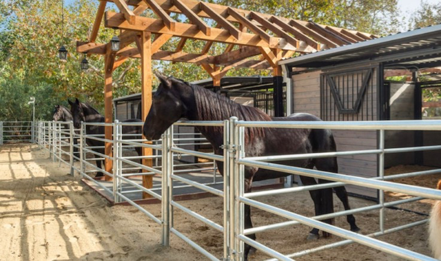 双料影后太会搞钱被前夫嫌弃？如今44岁成亿万富婆，事业家庭两开花