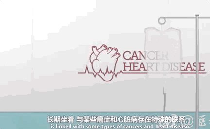 冷知识:白敬亭腰围竟然比雷佳音头围还要小?