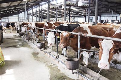 深耕沃野 逐梦前行——呼伦贝尔农垦苏沁农牧场有限公司努力实现农牧业强垦区美职工富