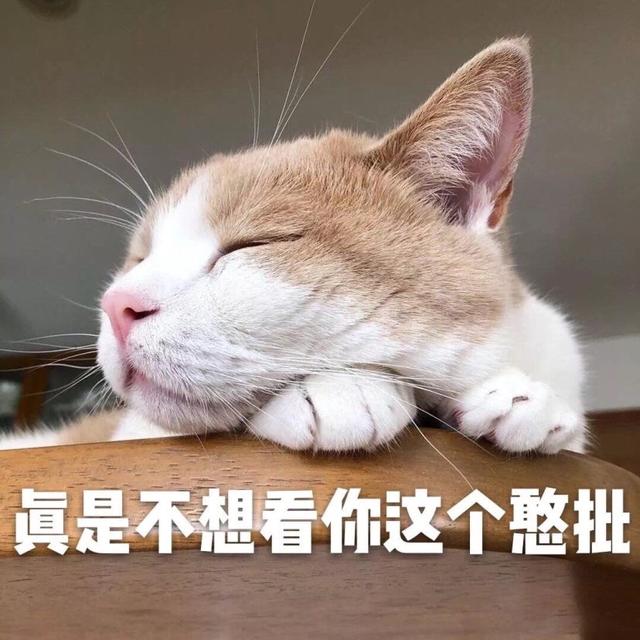 表情包：舌吻吗，妹妹？