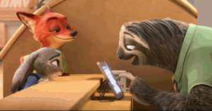 树懒疯狂动物城(树懒失踪，浣熊逃进理发店南京这家萌宠乐园成“疯狂动物城”了？)