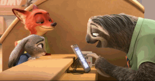 树懒失踪，浣熊逃进理发店！南京这家萌宠乐园成“疯狂动物城”了？