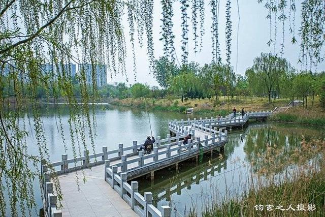 春欲尽日迟迟,花未谢踏春时 五一长假哪里去,看看济阳澄波湖