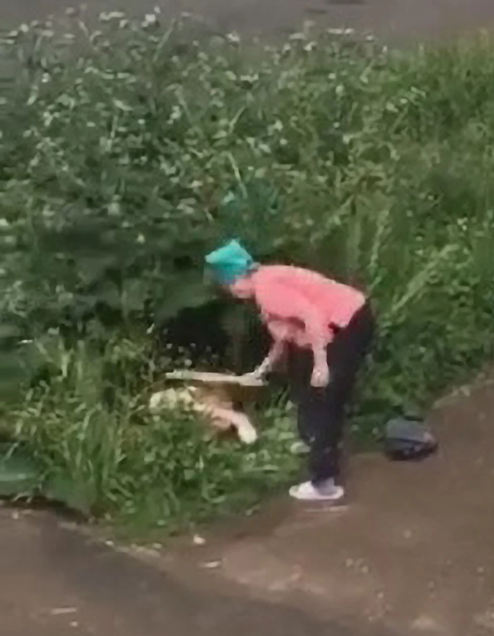 俄一对情侣草丛缠绵，被愤怒的邻居大妈用木板狠打严厉教育