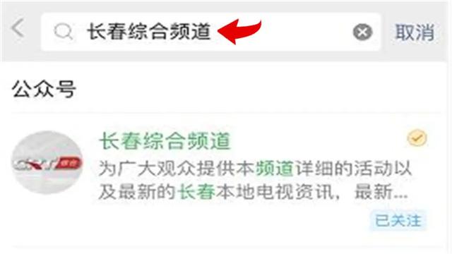 都市情感剧《夺爱》综合频道第一剧场正在播出