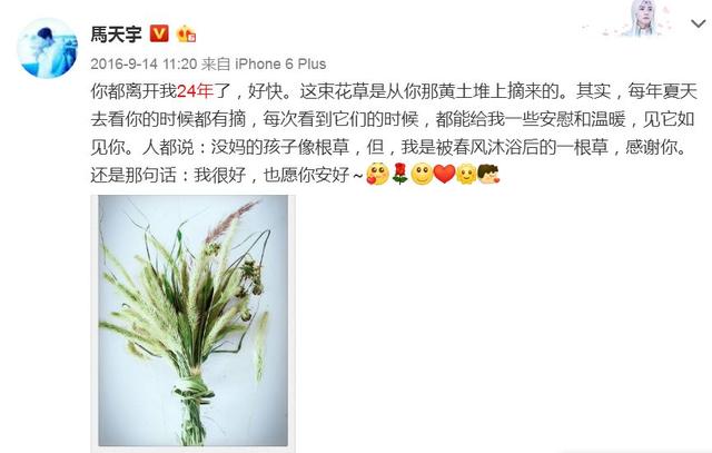 和王大陆不熟互怼?凭本事单身的马天宇,你这该死的温柔!