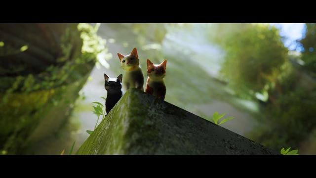 《Stray》评测：竟然有游戏如此明目张胆的收割猫奴！我无法拒绝